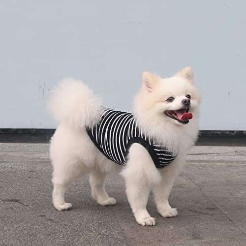Szat Pro Classic Striped Teacup Pet Dog T-Shirts, 100% Cotton Tank Vest For Small Dogs, Sleeveless Puppy Clothes For Chihuahua Yorkie Black, Medium #TOP3
