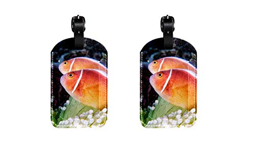 Preisvergleich Produktbild Lustige kofferanhänger Leder gepäckanhänger Kinder Kreuzfahrt farbige Initiale Kofferanhänger Koffer Set Halter für Taschen Undersea World Fish C73 7x11.4cm