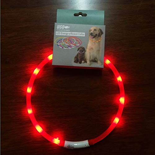 夜の散歩はledで光る首輪が 工事中 みたいに点滅して目立ちます まめ家の柴犬