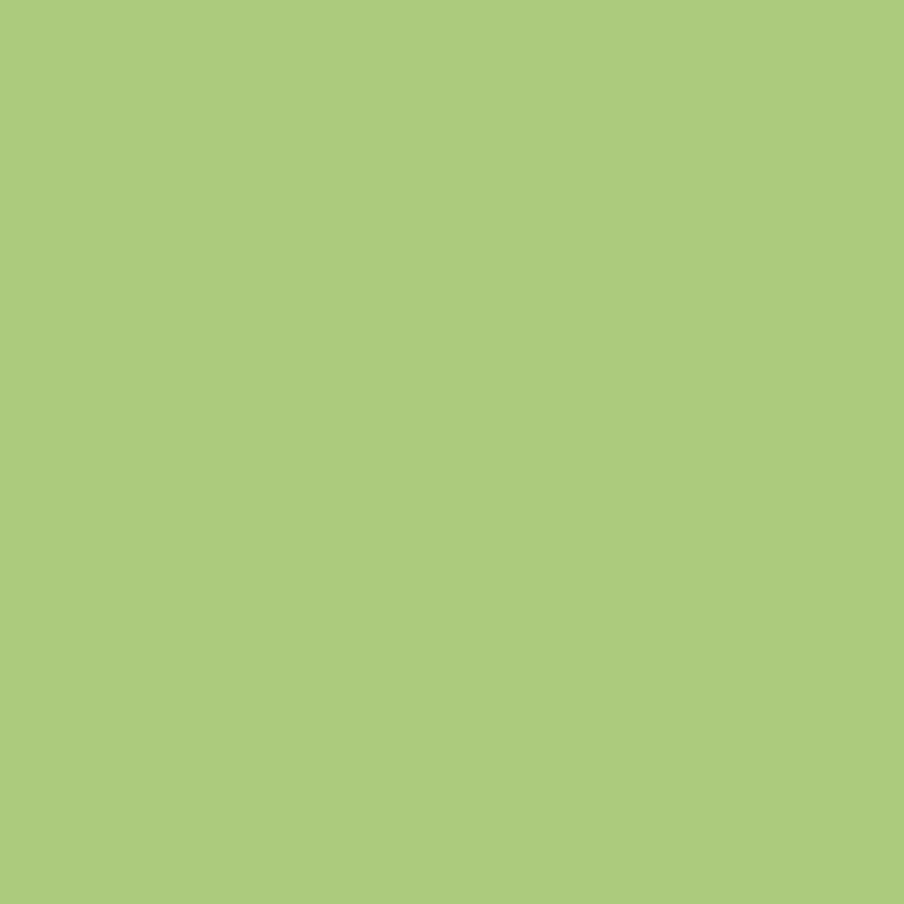 Pantone TPG 8.5X11 Sheet 13-0331 Sap Green - Amazon.com