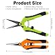 CXRYLZ-FUR 2 Stücke Gartenschere, Klein Ernteschere, Rosenschere, Bonsai Schere, Pflanzschere, Blumenschere, Pruning Shears Garden Scissors für Baumzweige, Blumen, Früchte, Pflanzen