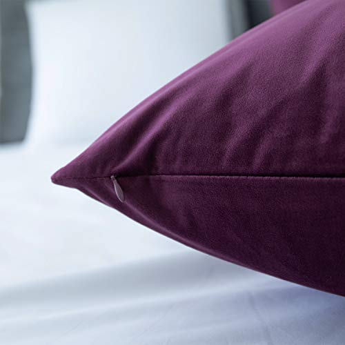 JUSPURBET Velvet Body Pillow Cover with Hidden Zipper,Soft and Breathable Pillowcase for Adults Pregnant Women,20\"x54\",Eggplant Purple