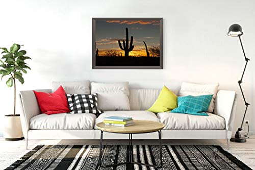 DIY 5D Diamond Painting Kit Saguaro Cactus Silhouette Vivid Sunset Tucson Arizona America Arid 12