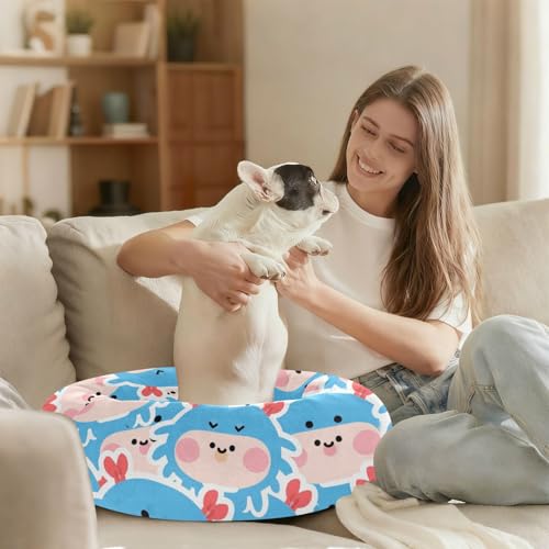 Lit chaud doux pour chien taille moyenne crabe bleu M