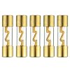 BOJACK 100A Gold Plated Glass AGU Car Audio Fuse for Car/Auto/Marine Audio Stereo Amplifier Power Protection (Pack of 5 Pcs)