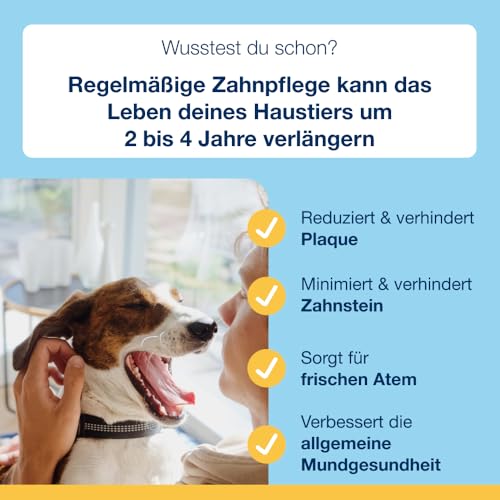 ProDen PlaqueOff Soft Chews für Zahnpflege Hund, Dose mit 60 Hunde Leckerlis, Natürliche Zahnreinigung Hund, für große Hunde, Hunde Zahnpflege für frischen Atem und Zahnbelag entfernen