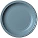 Cambro 55CWNR401 Camwear Slate Blue 5-1/2" Narrow Rim Plate - 48 / CS