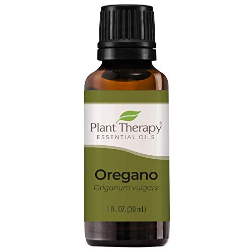 Top 10 Best Plant Therapy Oregano Oil Reviews & Buying Guide Katynel