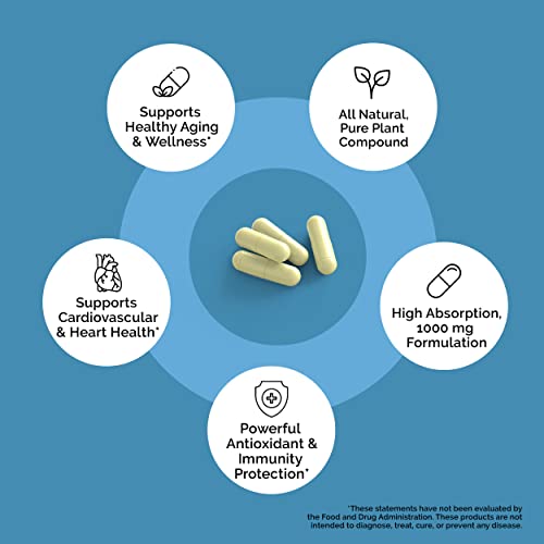 Zanapure Premium Quercetin | 1000Mg Dietary Supplement | Natural Antioxidant Support*, Immune Health*, Cardiovascular Support* | All-Natural, Vegan | 120 Capsules #TOP3