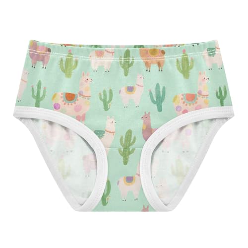 Brief Panties All Seasons Panties Comfort Color for Girls in Sizes 2T,3T, 4T, 5T, 6Y and 8Y