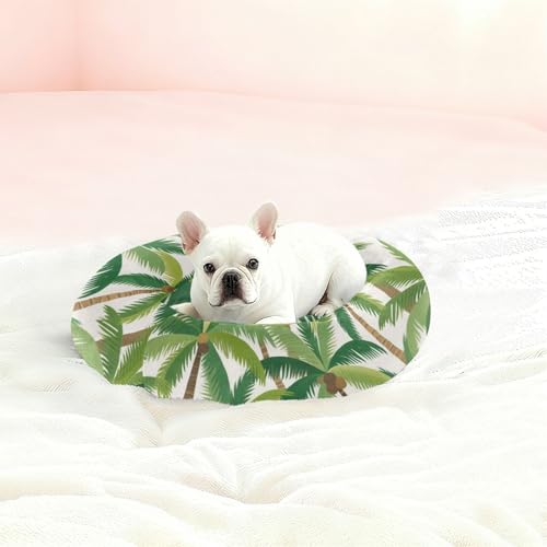 Lit d'été en forme de cocotier pour sieste de petit chat