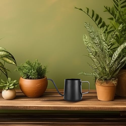 XTDMJ 350 ml Black Watering Can With Long Stainless Steel Spout for Small Indoor Plants Succulents, and Garden Use - Image 3