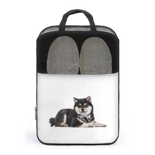 V[YP[X Č   ʔ  V[YobO V[Y|[` V[Y gx|[` C  V[Y o s y ^тɕ֗ [obO ւ jp AEghA o s v[g