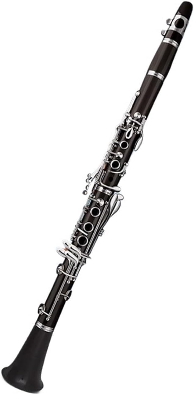 Clarinet Instrument 17 Keys B Flat Beginner Ebony Material Clarinet Instrument(2)