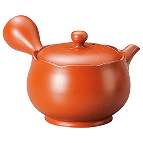 RH| 튊 |tDttn}{ 220cc 13039060