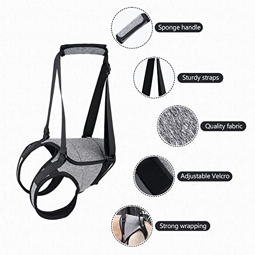 MeiAOBest Dog Lifting Harness,Dog Hind Legs Support Strap Pet Portable Recovery Walking Training Lift Strap with Handle for Elderly Injured Amputation Disabled Dogs_M - Image 3