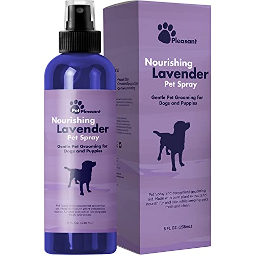 6 Best Dog Deodorants Keep Fido Smelling Fresh