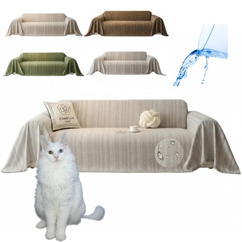 Lifetips ^[LbVAS Turkish Angora \t@[Jo[ k  􂦂 h }`Jo[ 2l| 3l| It IȂ ~ Eh~ LΉ lGʗp iO[j i130180CMj