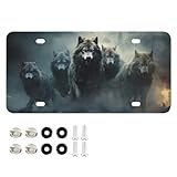 YMGQYJ License Plate Pack Wolf Night Print 1 Pack, Aluminum Front Plate for Car Novelty Car Plates Car Tag 12x6 in