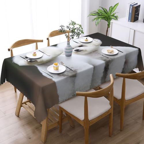 Nappe rectangulaire motif bichon frisé imperméable lavable 137 x 183 cm