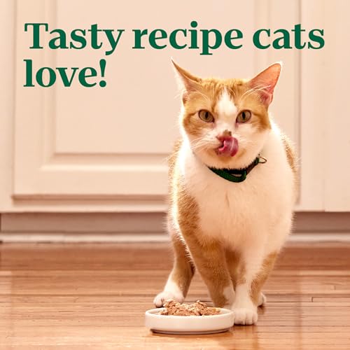 Nutro Perfect Portions Pate Wet Cat Food, Chicken & Shrimp, 2.6 oz, 24 ct - image 8