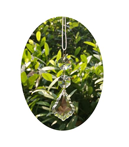 D Drneeko LT-ML Pack Of 20 Clear Maple Leaf Crystal Pendants thumb #2