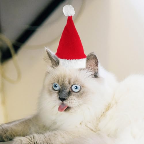 Disfraz navideño para perro Ipetboom, set de sombrero y bufanda miniatura 2