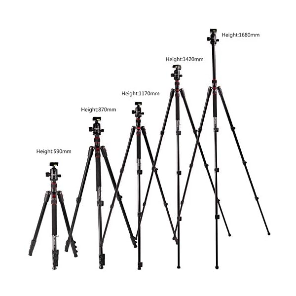 POLAM-FOTO 66.14”/168cm Kamera Stativ Aluminiumlegierungen Stativ mit Einbeinstativ und 360° Kugelkopf， Reisestativ… – Bild 8