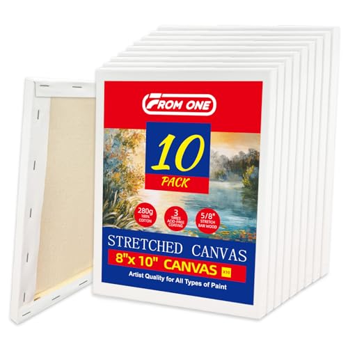 10-Pack 8x10 Stretched Canvas 100% Cotton for Acrylic & Oil