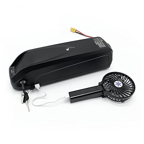 48v 10Ah Hailong Battery