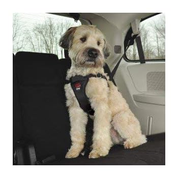 amazon uk dog car harness