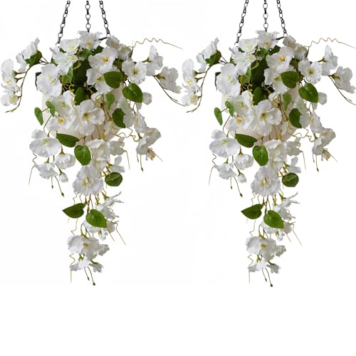 BDHD  2{  ݂艺 nMO Ǌ| A[gt[ rI pW[ tFCNO[ ϗtA CeA 60cm    X iX  (60cm 2{,01)