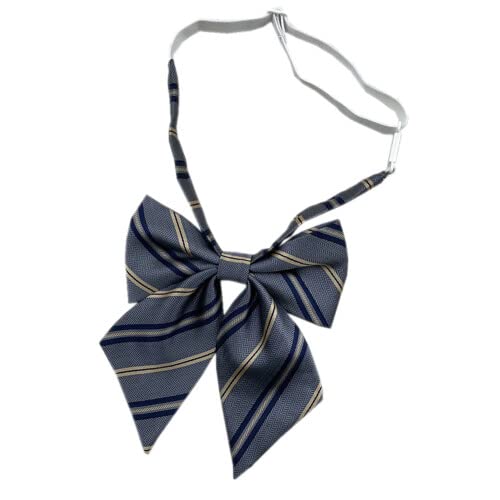 [FASELE] {^C XN[ {  LpX RXpō  O[ XgCv w  DK JK q w Z X^CV i