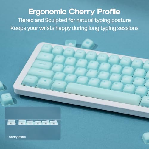 Image of EPOMAKER AegisSil Keycap Set, Silicone Material, Cherry Profile, 113 Keys, 65% /75% /96% /Full Size, Custom Keyboard Keycaps Set for Cherry MX, Kailh, Outemu, Gateron Mechanical Gaming Keyboard (Blue)