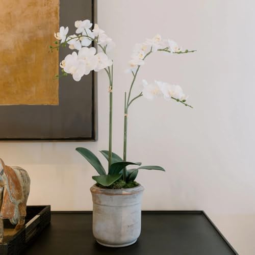 Image of CG Hunter Faux White Orchid Plant, Premium Artificial Indoor Flower Display Stands 24 inch, Beautiful Sculptural Blooms That Lasts Forever, Grey Planter Pot Included