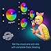 Corel VideoStudio Ultimate 2023 | Video Editing Software with Premium Effects Collection | Slideshow Maker, Screen Recorder, DVD Burner [PC Key Card]