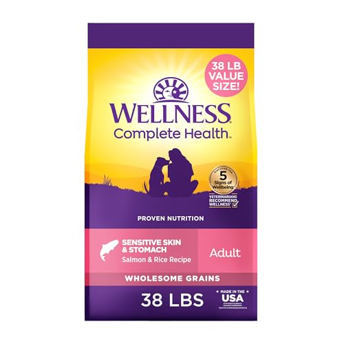 Image of Wellness Complete Health Sensitive Skin and Stomach Dry Dog Food, Wholesome Grain Kibble, Natural, Chicken Free, Salmon and Rice Recipe, 38 lb Bag