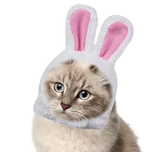 Cappello Coniglio Gatto - Divertente cappello da