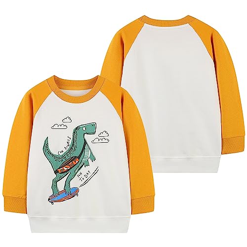 Toddler Autumn Tops Boys 2024 Skateboarding Dinosaur Print Casual Pullover Round Neck Long Sleeve Sweatshirt2