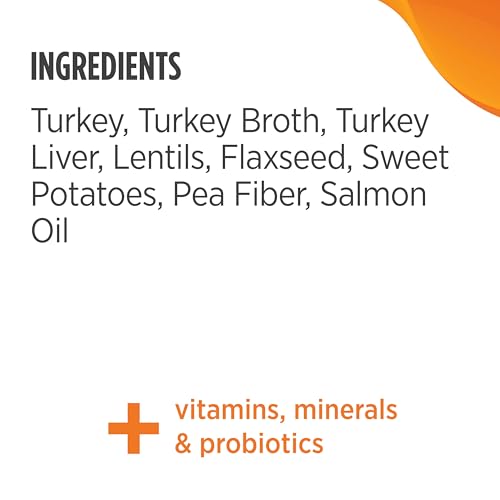 Image of Nulo Small Breed Grain-Free Turkey & Lentils Recipe Adult Wet Canned Dog Food 5.5 Ounce, 24 Cans