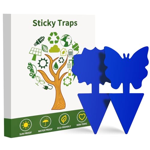 Fruit Fly Traps 100 Pack Blue Sticky Traps Fungus Gnat Traps Plant Fly Stickers for Indoor and Outdoor Use Protect The Plant