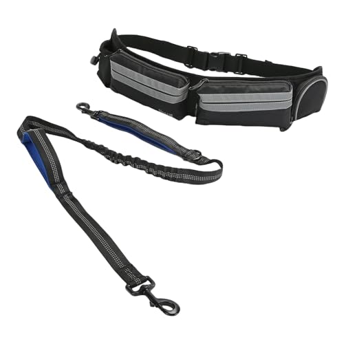 \ȃEGXgxgŃ[h錢̃WMOnh[XjO[h˕XgbvhbOEGXgobO