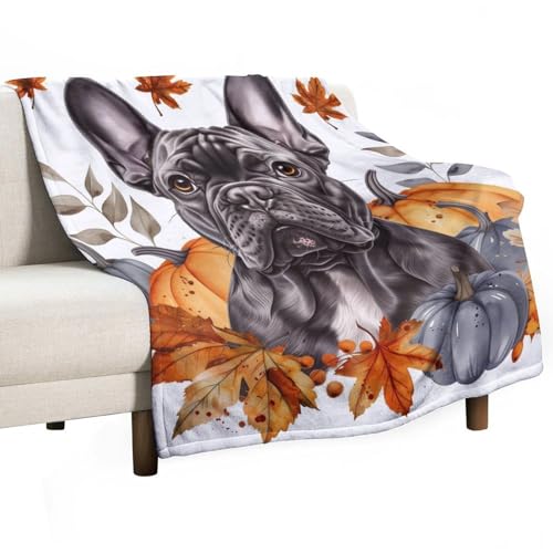 velumair Fall French Bulldog Bed Blanket Warm Plush Lightweight Soft Flannel Pumpkins Maple Leaves Throw Blanket for Living Rooms Sofa Bedroom Decor 50"x60"
