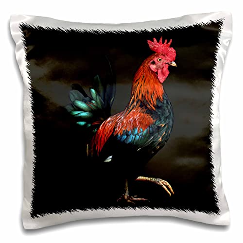 3dRose Stamp City-Birds-Photograph of a Colorful Male Rooster Strutting his Stuff (pc-306507-1) Pillow Case, White