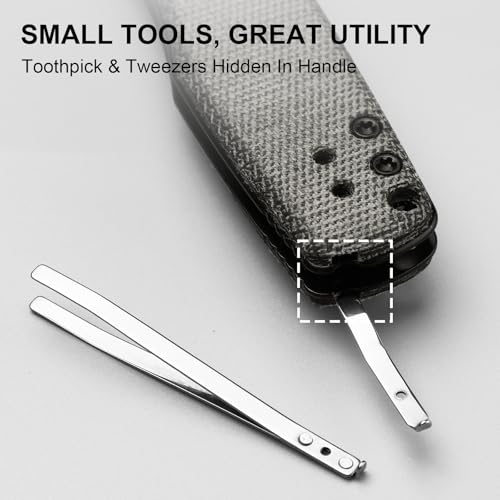 Image of Kizer Aegis EDC Pocket Knife, 2.8 inch AEB-L Steel Drop Point Folding Knife