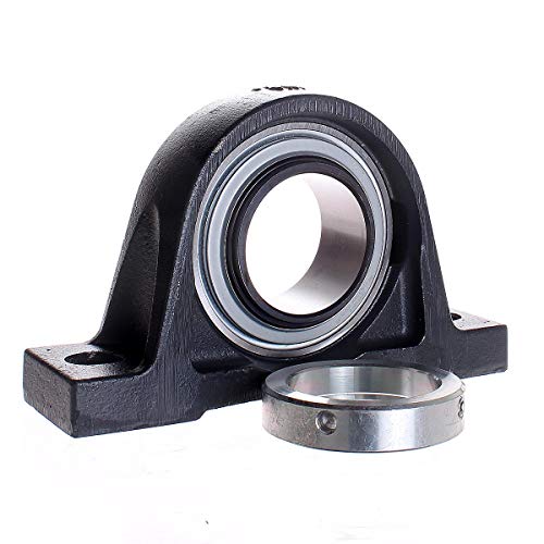 INA Pillow block unit (INA-RASE80)