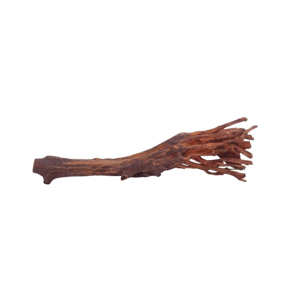 AquaOne Aquarium Wurzel M Jungle Wood Nr.4440 Aquarium Wurzel Holz Deko Aquascaping Dekoration Landschaft Moos Natur Echtholz
