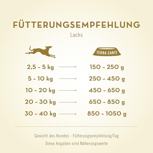 Terra Canis Lachs, Hirse, Pfirsich & Kräuter - Classic Nassfutter, 800g I Premium Hundefutter in 100% Lebensmittelqualität Aller Rohstoffe I Reichhaltig & gesund, allergen- & getreidearm, glutenfrei