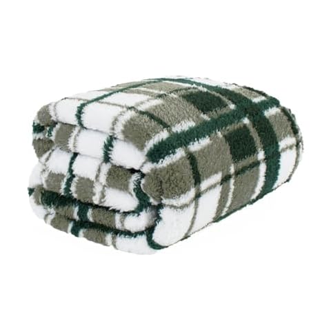OHS Green Check Teddy Fleece Throw Blanket Cover
