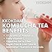KKOKDAM Kombucha Tea - Lemon & Chrysanthemum Korean Tea - Kombucha Drinks Probiotic Support, Low Calorie, Sugar Free Kombucha Pack - 500g Bulk Pouch